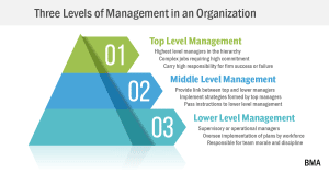 3 levels of management